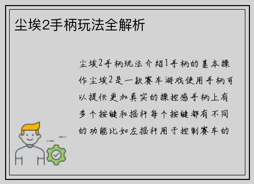 尘埃2手柄玩法全解析